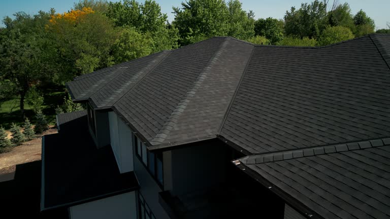 Best Roof Leak Repair  in Dane, WI